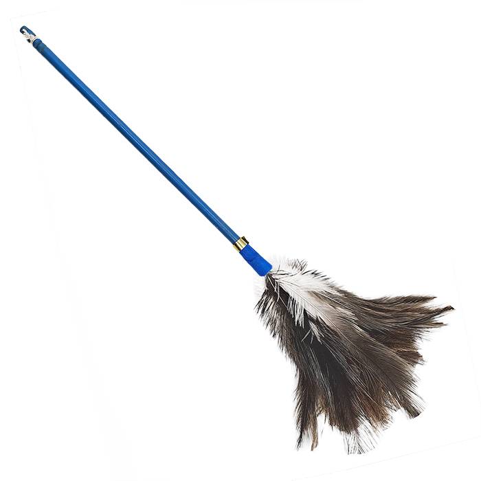 Plumero Nacional N.22